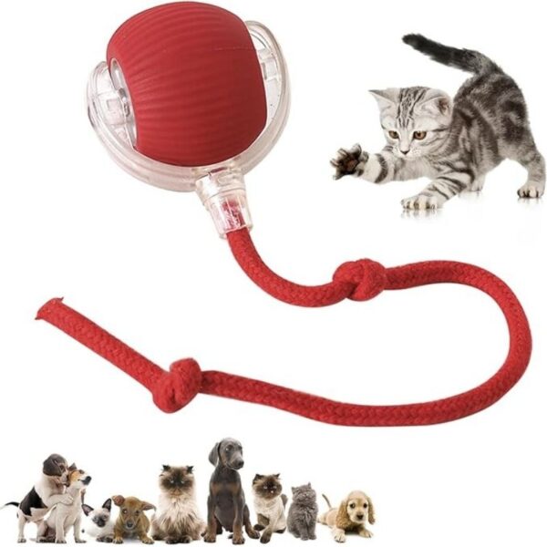 Pelota Inteligente para Gatos - Image 7