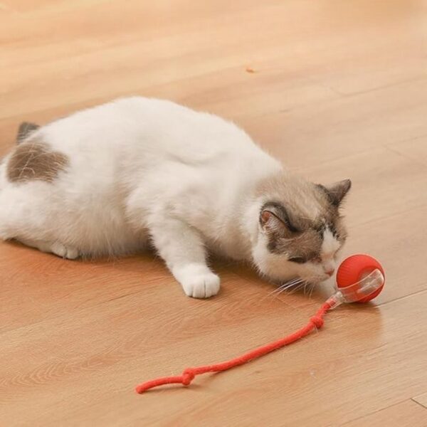Pelota Inteligente para Gatos - Image 5