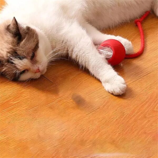 Pelota Inteligente para Gatos - Image 4