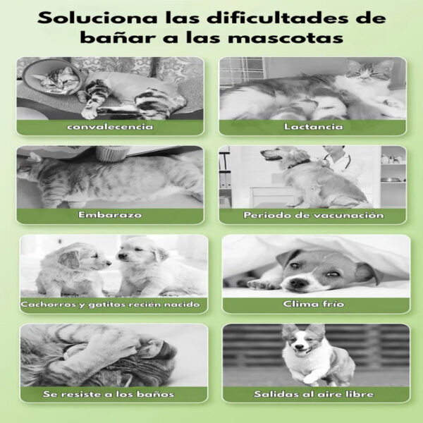Guantes Toallitas Húmedas para Gatos y Perros x5 | Limpieza Rápida y Fácil - Image 4